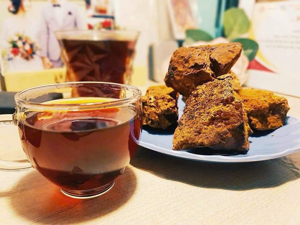 Trà Nấm Chaga Thảo Mộc
